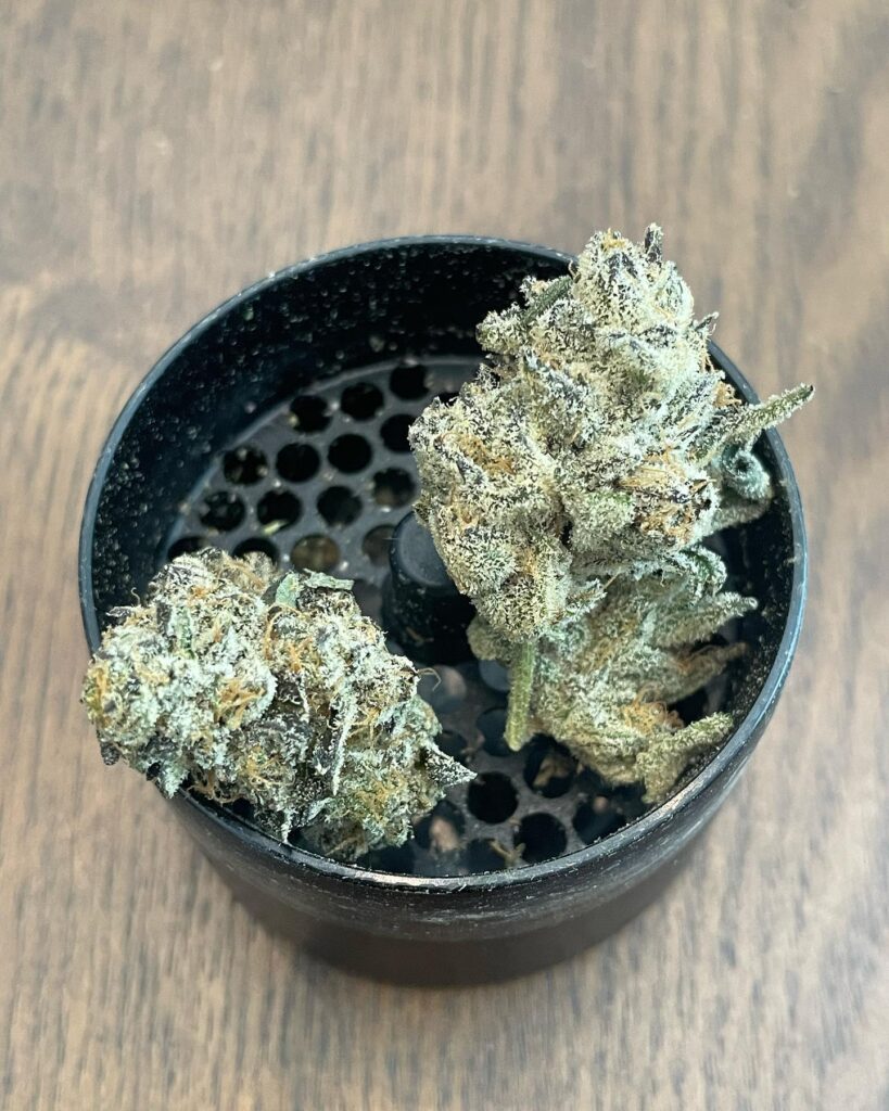 Khash Tree Mason z face strain being prepared in a custom herb grinder