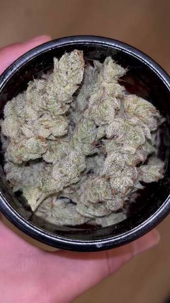 Khash Tree Mason premium cannabis buds in black jar close‑up