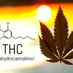 THC molecular structure with cannabis leaf at sunset