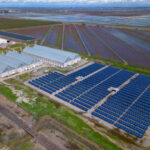 Khash Tree Mason solar‑powered cannabis cultivation facility with premium plants