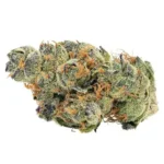 Frosted cannabis buds of Grandma’s Cookies strain with dense trichomes and deep green leaves