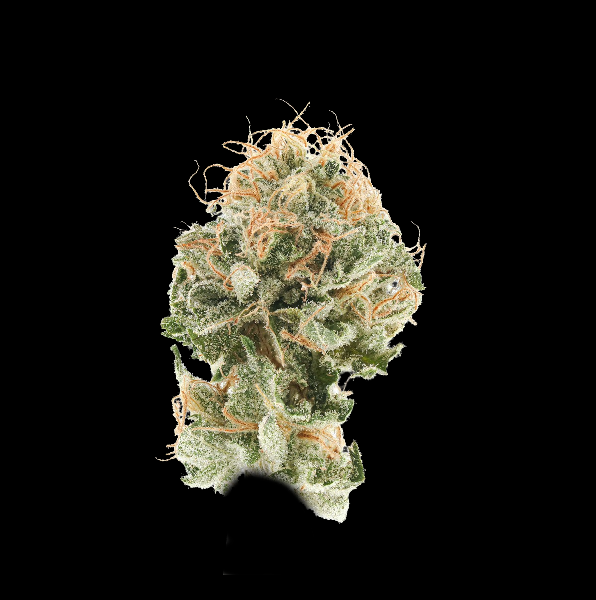 Z face khash Tree Mason premium THCa boutique flower